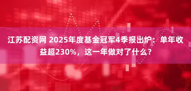 江苏配资网 2025年度基金冠军4季报出炉：单年收益超230%，这一年做对了什么？