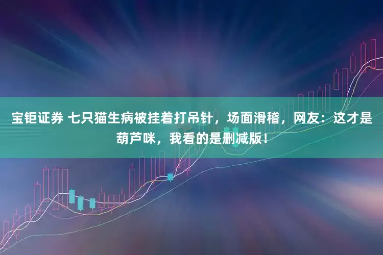 宝钜证券 七只猫生病被挂着打吊针，场面滑稽，网友：这才是葫芦咪，我看的是删减版！